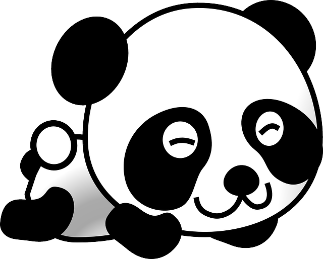 [Panda] Un site de qualité pour Google : Définition